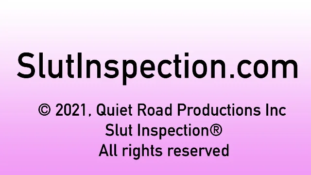 Preview of SlutInspection Tattooed MILF Lily Lane POV Blowjob XXX